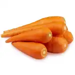 Fresh Carrot
